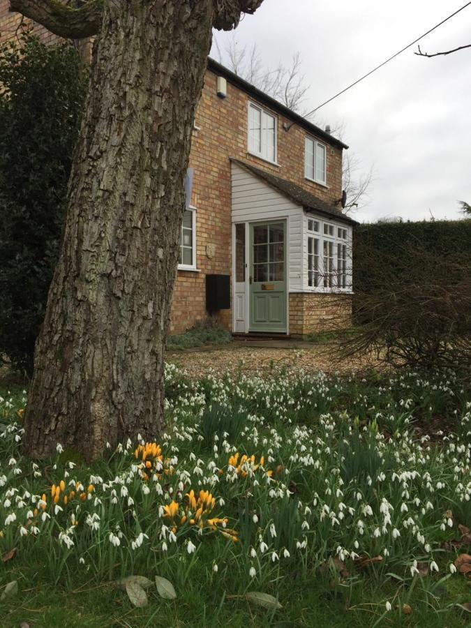 Beech View Cottage Downham Market Bagian luar foto