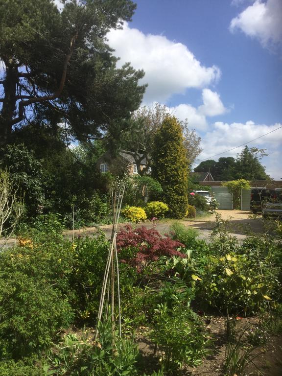 Beech View Cottage Downham Market Bagian luar foto
